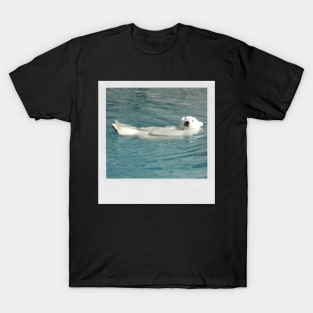 Polar Bear Photograph (Chillin') Animal Lover Gift Funny Graphic Picture T-Shirt